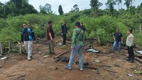 Polisi dan BKSDA Bengkulu Investigasi Khusus Kasus Dua Gajah Mati