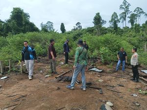 Polisi dan BKSDA Bengkulu Investigasi Khusus Kasus Dua Gajah Mati