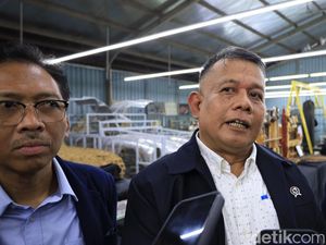Wamen Helmi Akan Berantas UMKM Ilegal Milik WNA di Bali