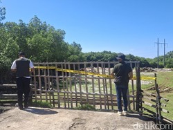 Viral Pembakaran Sampah di Mangrove Jimbaran, Keluarga Pelaku: Mohon Dimaklumi