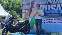 Bisnis Burung Hias Kena Dampak Perang Timur Tengah