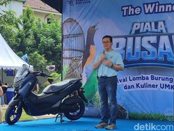 Bisnis Burung Hias Kena Dampak Perang Timur Tengah