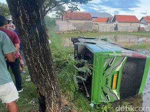 Microbus Vs Truk Molen Adu Banteng Lalu Nyempulng ke Sawah di Pamekasan