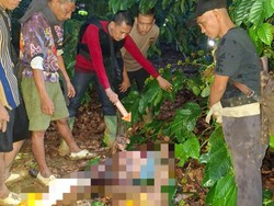 Petani di OKU Tewas Ditikam, Pelaku Serahkan Diri ke Polisi