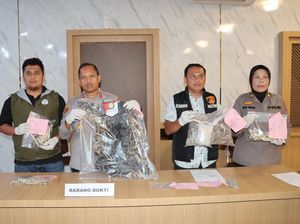 Polisi Bongkar Perdagangan Kulit Macan Dahan-Sisik Trenggiling di Sidimpuan
