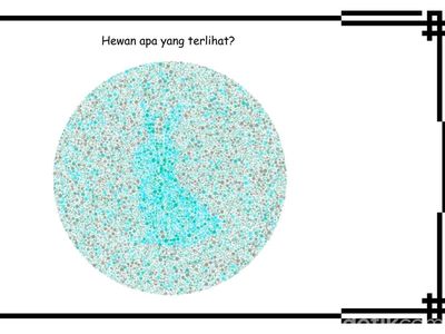 Tebak-tebakan Sembari Cek Mata, Hewan Apa yang Terlihat?