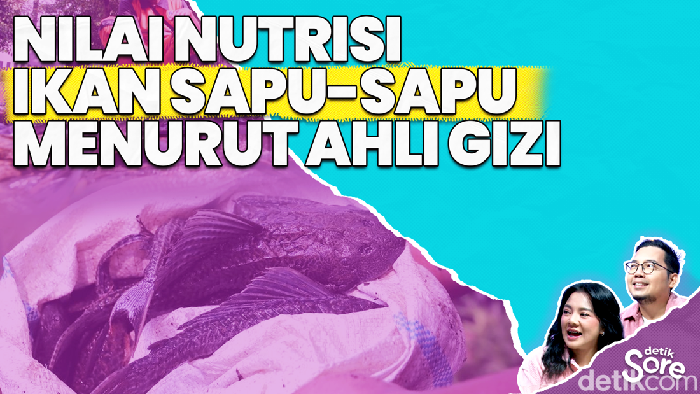 Video: Ahli Gizi Tanggapi Soal Ikan Sapu-sapu Tidak Boleh Dikonsumsi