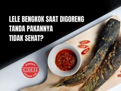 Infografis: Lele Bengkok Saat Digoreng, Tanda Pakannya Jorok?