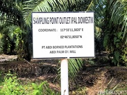 DLH Bulungan Sebut Uji Lab Limbah Sawit Aman, Sempat Ditolak Warga