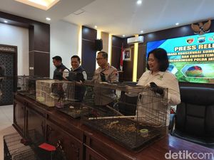 Upaya Menutup Celah Perdagangan Satwa Ilegal di Indonesia