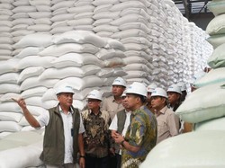 Anggota DPR Ade Jona Cek Gudang Bulog Sumut, Stok Beras Aman 5 Bulan