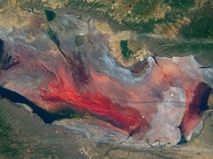 Danau Ekstrem di Afrika Ini Ubah Hewan Jadi Batu
