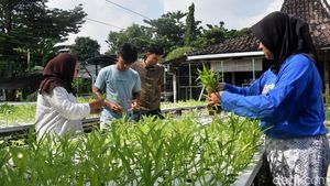Kebun Sayur Surabaya, Ruang Belajar Tanam Hidroponik