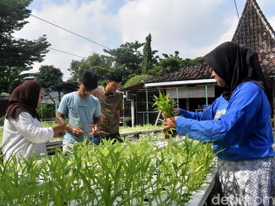 Kebun Sayur Surabaya, Ruang Belajar Tanam Hidroponik