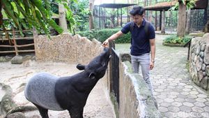 Liburan Seru di Faunaland, Interaksi Satwa Jadi Daya Tarik