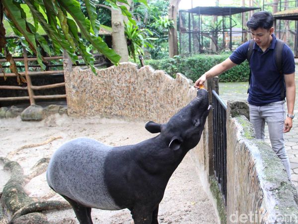 Liburan Seru di Faunaland, Interaksi Satwa Jadi Daya Tarik
