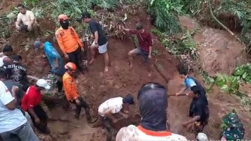 Pria Tertimbun Longsor Saat Rapikan Pohon Bambu di Bogor