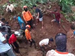 Pria Tertimbun Longsor Saat Rapikan Pohon Bambu di Bogor