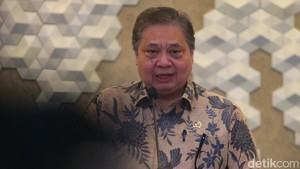 Airlangga Akui Karhutla Kalimantan Ganggu Ekonomi