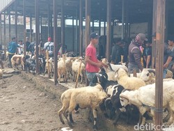 Geliat Jual Beli Domba Jelang Iduladha di Bandung Barat