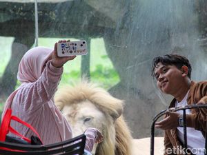 Faunaland Ancol: Kebun Binatang Ala Hutan Papua Tersembunyi di Jakarta