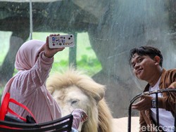 Faunaland Ancol: Kebun Binatang Ala Hutan Papua Tersembunyi di Jakarta
