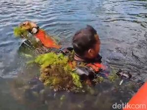 Siswa SD Tenggelam di Rana Mese, SAR Terkendala Lamun dan Dingin