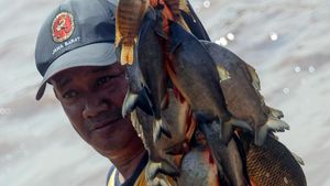 Ngubek Empang Meriahkan Lebaran Depok, Warga Berburu Ikan