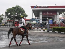 Dukung Efisiensi BBM, ASN Ini Naik Kuda ke Kantor