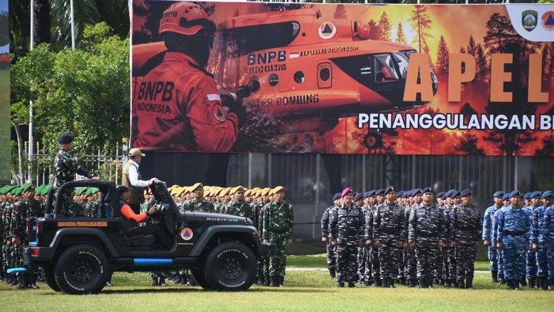 APHI Dorong Kesiapsiagaan Pelaku Usaha Hadapi Potensi Karhutla