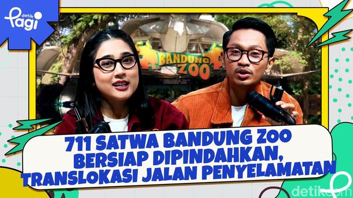 Video: 711 Satwa Bandung Zoo Bersiap Dipindahkan, Translokasi Jalan Penyelamatan