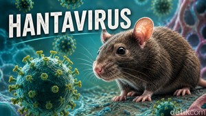 Waspada Hantavirus, Dinkes Palembang Imbau Warga Jaga Kebersihan Rumah