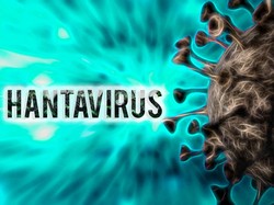 Waspada Gejala Hantavirus yang Mirip Flu, Ini Tanda Awalnya