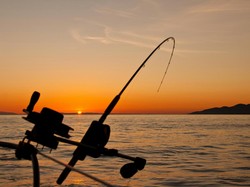 Kalender Mancing Mei 2026: Cek Tanggal Gacor, Waktu Terbaik, dan Arusnya!
