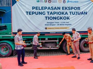 Lampung Ekspor 3.330 Ton Tapioka ke China, Pemprov Genjot Hilirisasi Singkong