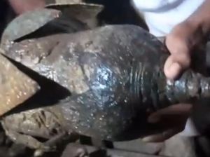 Warga Flores Timur Temukan Benda-benda Kuno Saat Mancing di Pantai Konga