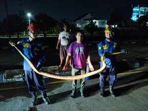 Piton 3 Meter Nyeberang Jalan di Semarang Subuh-subuh Bikin Driver Ojol Heran