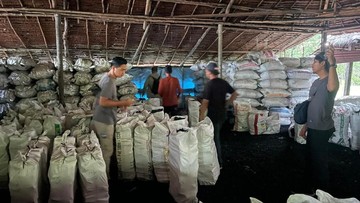 Hutan Mangrove di Riau Dirusak dan Dijadikan Arang, 2 Pelaku Ditangkap