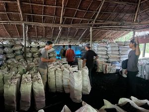 Hutan Mangrove di Riau Dirusak dan Dijadikan Arang, 2 Pelaku Ditangkap