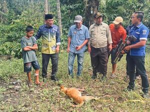 Anjing Liar Serang 6 Warga di Camba Maros Ditembak Mati