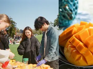 Mangga India Langka, Pria Ini Malah Bikin Pesta Mangga Viral!