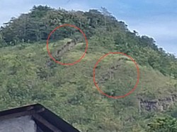 Heboh Retakan di Gunung Paleteang Pinrang Diduga Dapat Picu Longsor