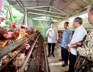 Ibas Dorong Peternakan Desa Jadi Penopang Ekosistem Pangan-Program MBG