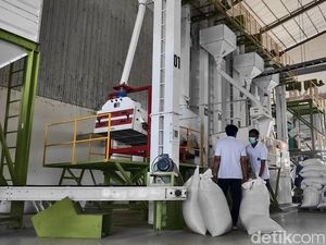 Badung Surplus Beras 3.000 Ton, Cabai-Telur Masih Minus