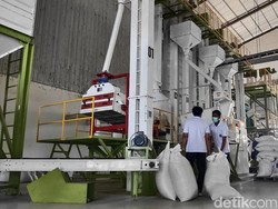 Badung Surplus Beras 3.000 Ton, Cabai-Telur Masih Minus