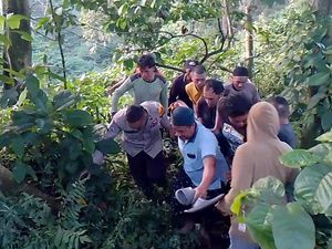 XL7 Terjun ke Jurang 15 Meter di Jalur Gumitir Jember