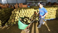 Thailand Pakai AI untuk Jaga Kualitas Durian Terbaik, Indonesia Kapan?