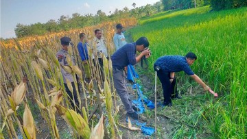 Petani di Grobogan Tewas Usai Kesetrum Jebakan Tikus yang Dipasangnya Sendiri