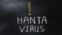 1 Kasus Hantavirus Terdeteksi di Jawa Timur