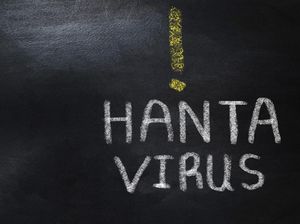 Apakah Hantavirus Ada di Indonesia? Begini Penjelasan Kemenkes